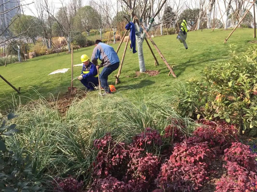 邊坡綠化工程 專業(yè)施工，筑造綠色家園的生態(tài)屏障