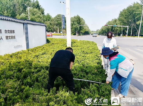 青州市園林綠化和環(huán)衛(wèi)中心 卡準(zhǔn)綠化施工精度尺，拉緊項(xiàng)目驗(yàn)收質(zhì)量繩——以高標(biāo)準(zhǔn)打造體育場(chǎng)地設(shè)施工程