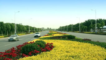 綠動(dòng)磁州，健行未來(lái) 八項(xiàng)重點(diǎn)工程繪就園林縣城新畫卷